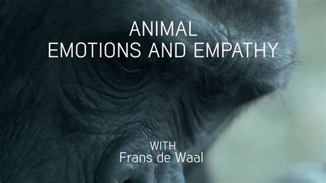 Animal Emotions And Empathy With Frans De Waal Youtube