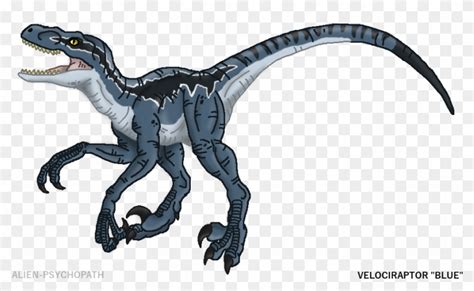 Jurassic Park Clipart Velociraptor Jurassic World Dinosaur Raptor Drawing Hd Png Download