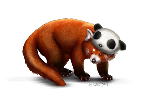 Red Panda Png Picture Png All Png All