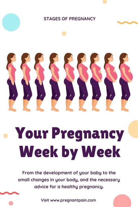 Pin On Twins Pregnancy Week By Week