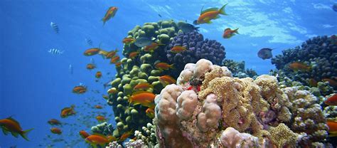 ziel 14 ozeane meere und meeresressourcen im sinne nachhaltiger entwicklung erhalten und