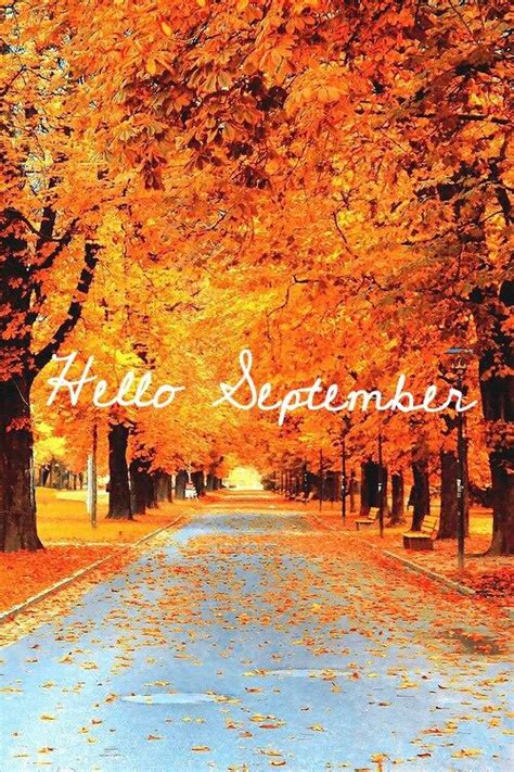 Hello September With Autumn Trees Pictures Photos And Images For