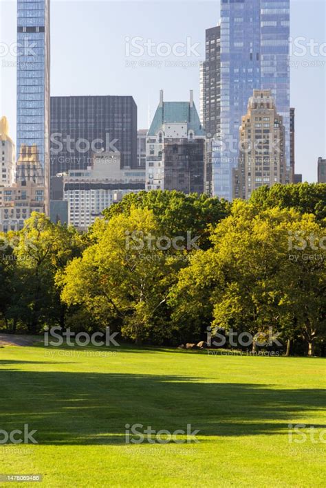 Manhattan Skyscrapers And Central Park Stock Photo Download Image Now