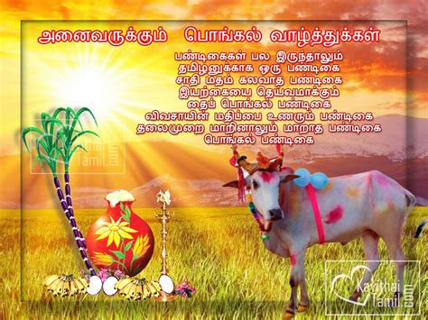 Happy pongal 2020, pongal wishes, free animated ecards (tamil video). (567) Beautiful Pongal Greetings In Tamil | KavithaiTamil.com