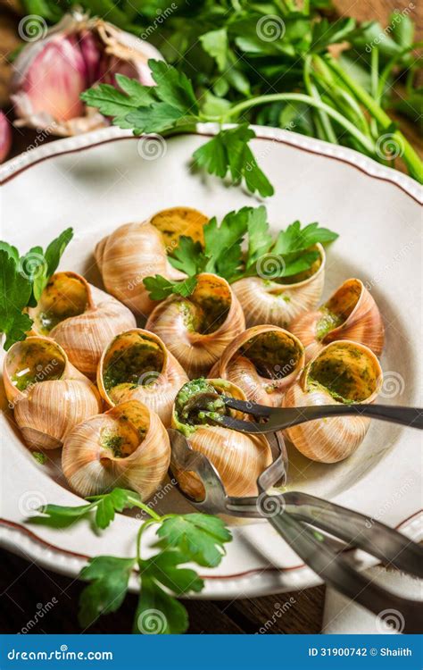 Snails Baked In Garlic Butter Served Stock Photo Image 31900742
