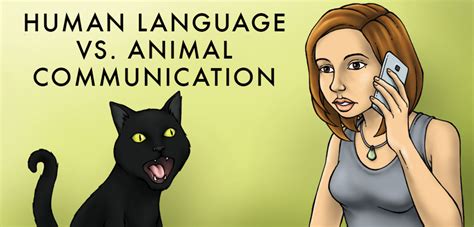 The Difference Between Animal And Human Communication Owlcation