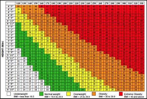 Most Accurate Body Mass Index Calculator Volcg