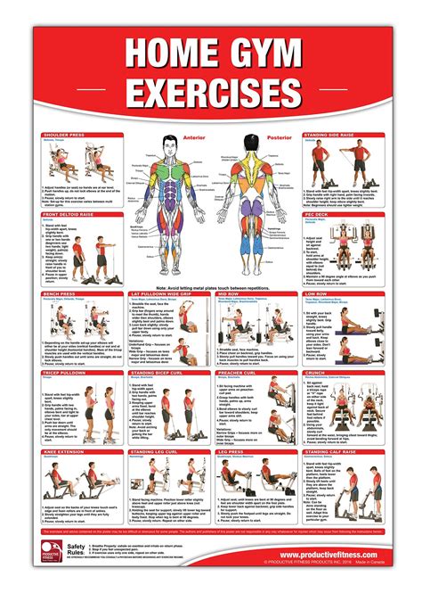 Buy Home Gym Exercises Laminated Chart Home Gym Chart Home Gym