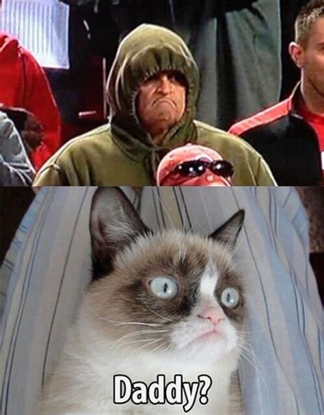 Pinned From Pin It For Iphone Grumpy Cat Funny Cats Cat Memes