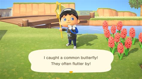 How To Catch Bugs Animal Crossing New Horizons Shacknews