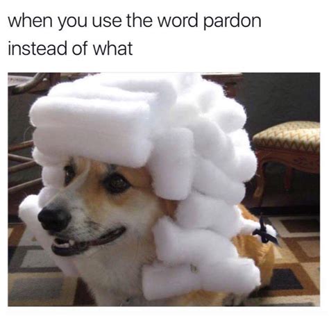 Doggo Meme By Openendedquestion Memedroid
