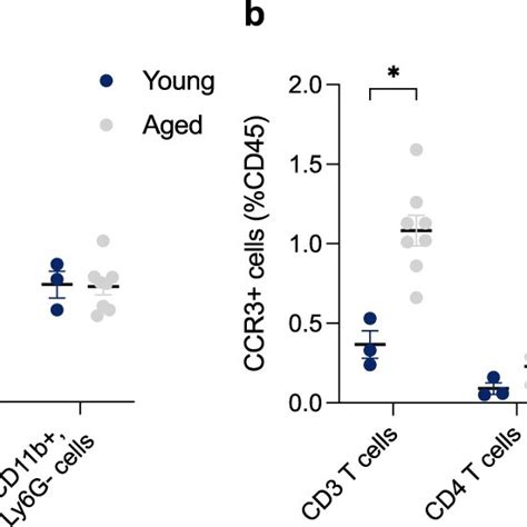 Ccr3 Expressing T Cells Increase With Age In The Choroid Plexus Flow