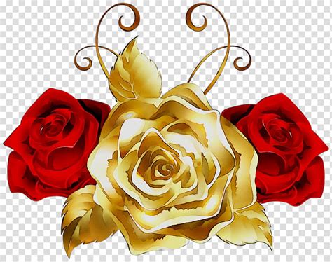 Rose Gold Flower Yellow Red Garden Roses Black Color Colored Gold