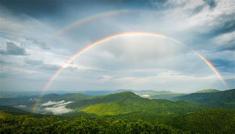 Seeing Double Photograph By Joye Ardyn Durham Fine Art America