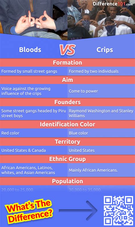 Difference Between Blood And Crip