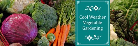 Cool Weather Vegetable Gardening Sugar Creek Gardens