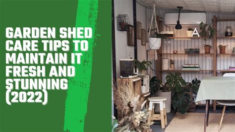 Garden Shed Care Tips To Maintain It Fresh And Stunning 2022 Youtube
