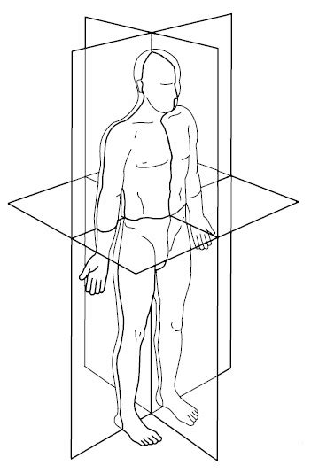 Areas of the human body defined by the landmarks provided by evident structures that are blank anatomical position diagram. 11 Anatomical Position, with three reference planes and ...