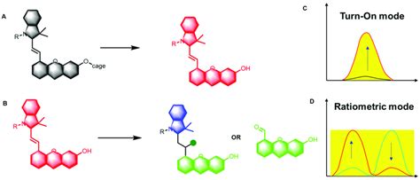 Design Principles For Activatable Fluorescence Probes A Design