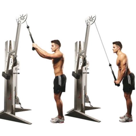 Cable Triceps Pushdown By Paulo M Exercise How To Skimble