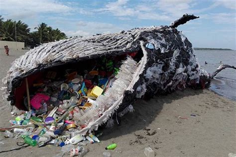 Dead Whale Project Of Greenpeace Philippines Stirring Art