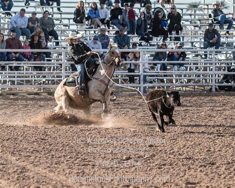 Tie Down Rodeoevent 2019 Yuma Silver Spur Prca Rodeo Perf 1