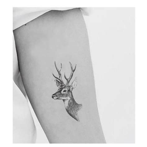 Deer Head Tat Deer Tattoo Deer Head Tattoo Tattoos
