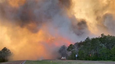Naples Florida Wildfire Destroys 7 Homes 23 Structures