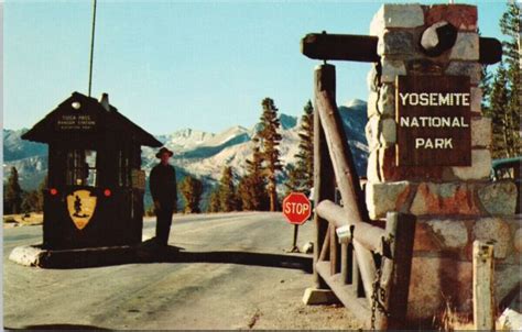 Tioga Pass Entrance Yosemite National Park Ca Calif Unused Vintage Postcard F Ebay