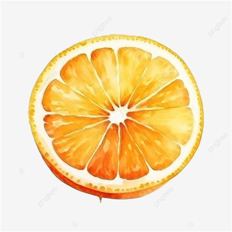 Watercolor Orange Slice Orange Watercolor Fruit Png Transparent