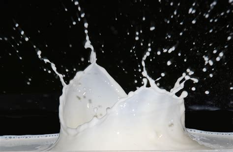 Milksplash By Frankboe On Deviantart