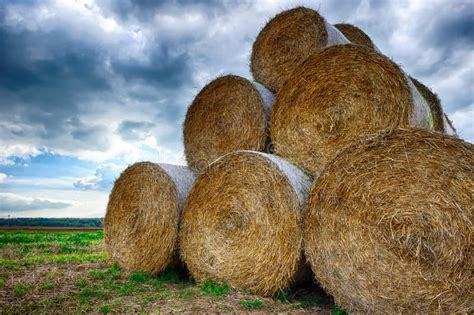 Stack Of Straw Bales Stock Image Image Of Harvesting 34274379