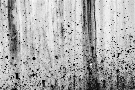 Free photo: Pattern Grunge Texture - Abstract, Old, Page - Free ...