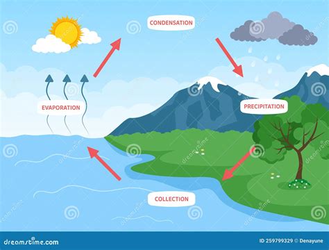 Water Cycle Of Evaporation Condensation Precipitation To Collection