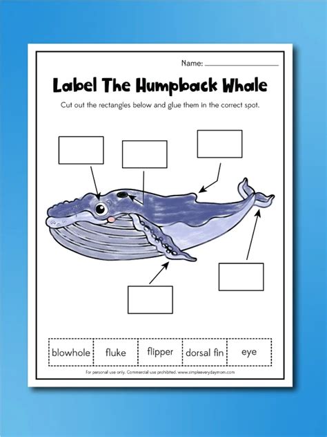 The Snail And The Whale Worksheets For Kids Free Printable