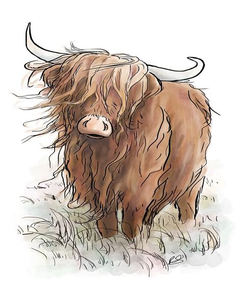 Highland Cow Illustration Cow Illustration Highland Cow Painting