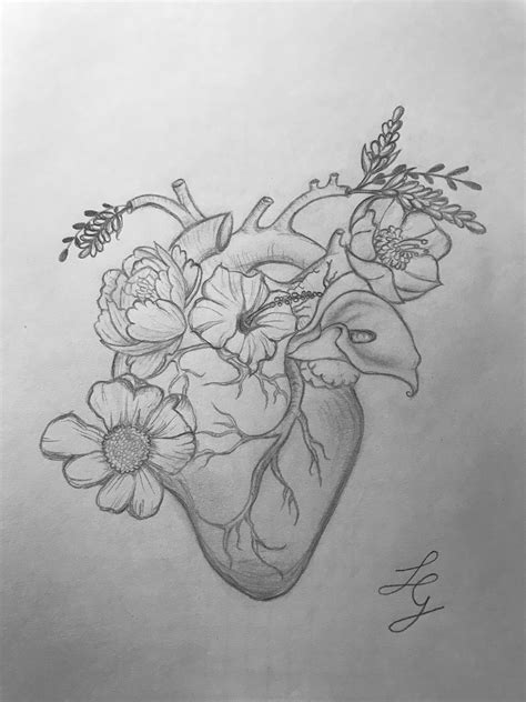 Dibujo A Lápiz De Corazón Real Dibujos De Corazones Dibujos Arte En