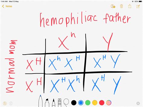 Solved A Man Who Suffers From Haemophilia Which Is A Sex Linked Gene Course Hero