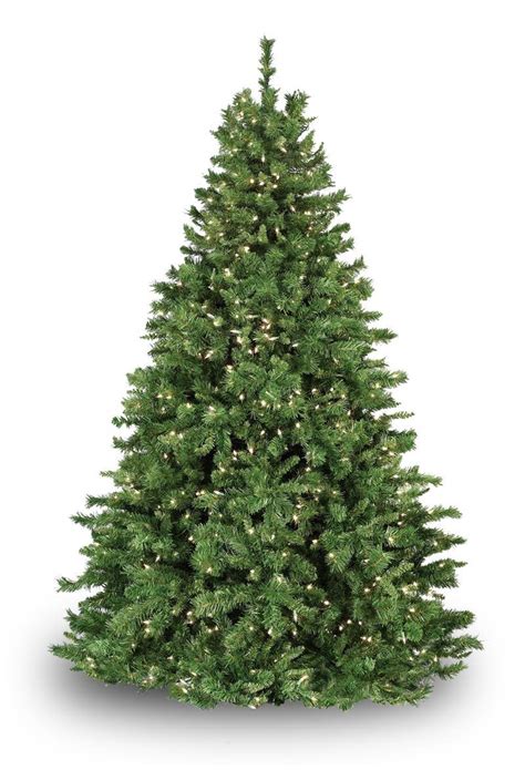 Dunhill Fir Prelit Tree Christmas Lights Etc