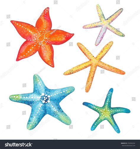 Collection Starfish Watercolor Vector Illustration Stock Vector