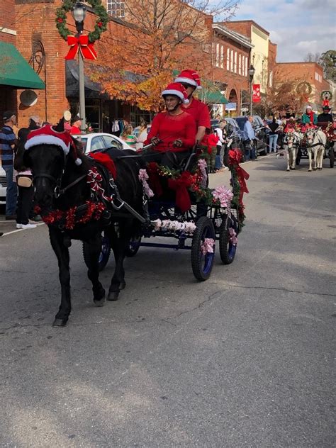 Southern Pines Nc Christmas Carriage Parade General Discussion