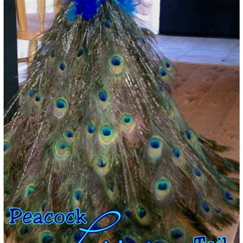 Back Of Peacock Tail Articulated Peacock Halloween Costume Peacock