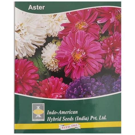 Buy Indo American Hybrid Seeds India Pvt Ltd Aster Pot N Patio