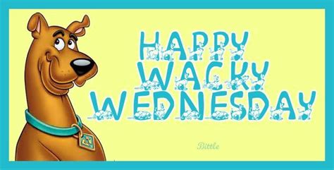 Happy Wacky Wednesday Happy Wacky Wednesday Good Morning Wednesday