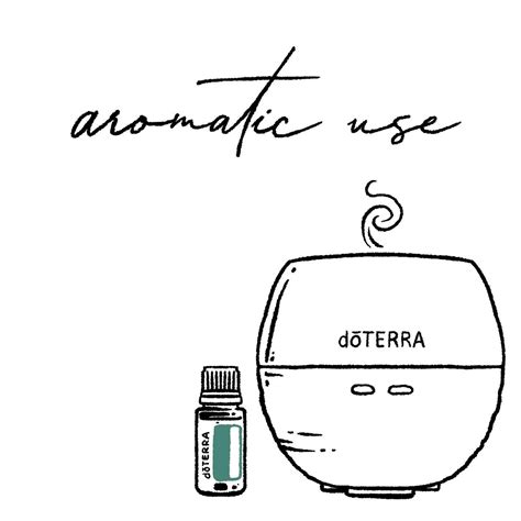3 Ways To Use Your Oils 🌿aromatic Diffuse Blends Of Oils Or Use
