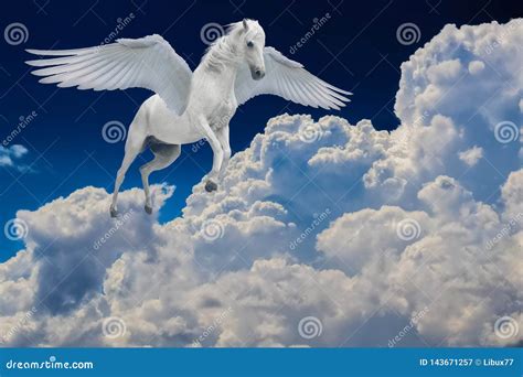 Pegasus Winged Legendary White Horse Flying With Spread Wings In Cloudy