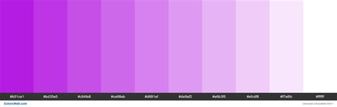 Tints Xkcd Color Vibrant Purple Ad03de Hex Colors Palette Colorswall