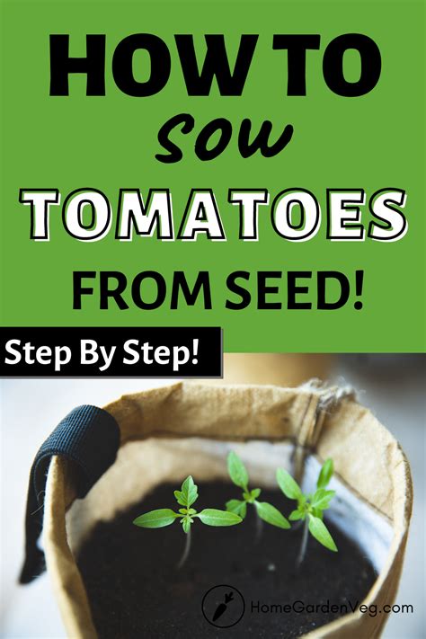 How To Sow Tomatoes From Seed In 2021 Growing Tomatoes Tomato