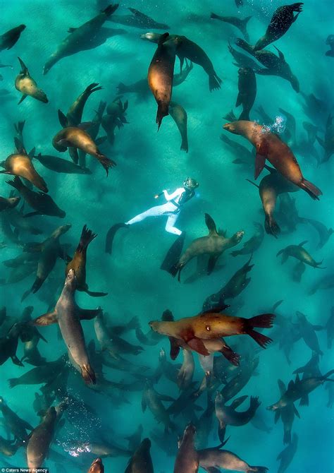 Freediver Joost Van Uffelen Captures Beautiful Underwater Photos With