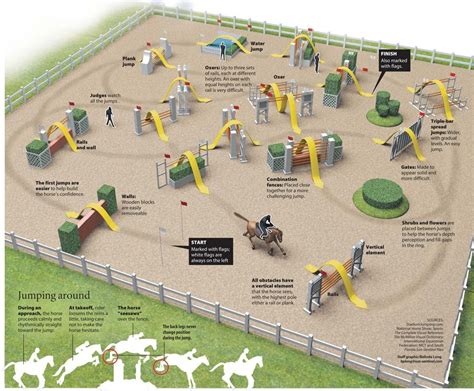 Infographic Design Show Horses Show Jumping Horse Jumping Exercises